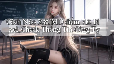 Cách nào 368cmd điểm 710, Pixel, check thông tin công ty