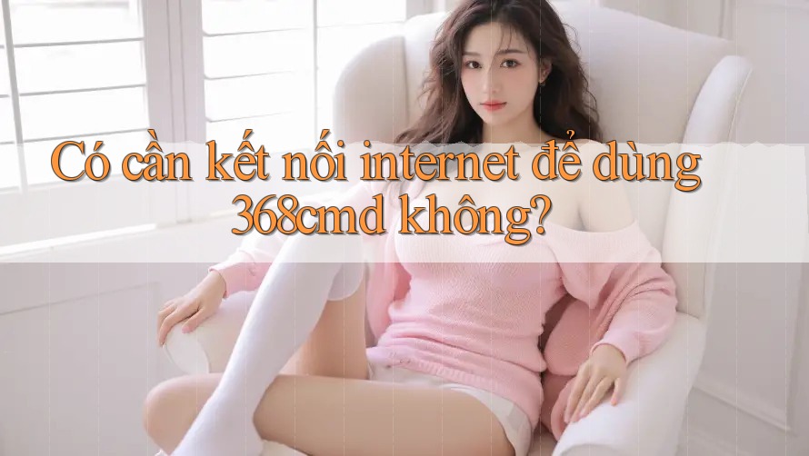Có cần kết nối internet để dùng 368cmd không? Có cần kết nối internet để dùng 368cmd không?