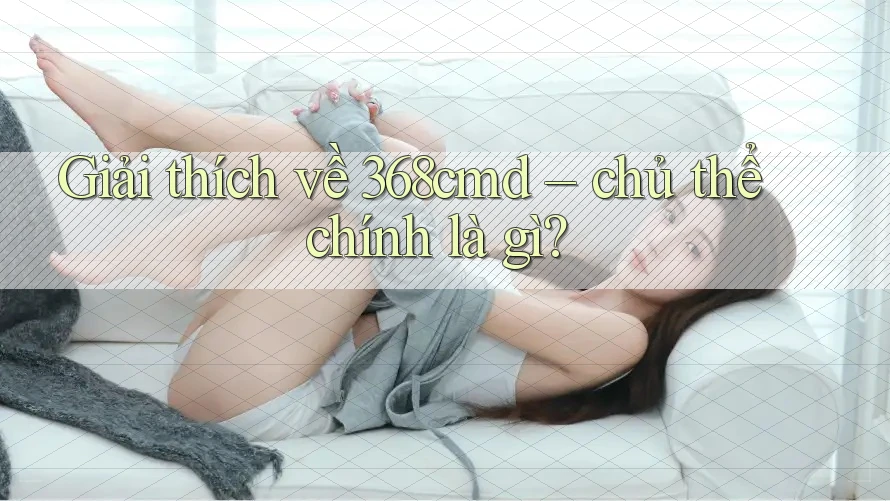Giải thích về 368cmd – chủ thể chính là gì? Giải thích về 368cmd – chủ thể chính là gì?