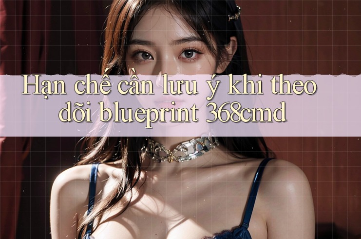 Hạn chế cần lưu ý khi theo dõi blueprint 368cmd Hạn chế cần lưu ý khi theo dõi blueprint 368cmd